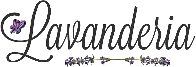 Lavanderia logo